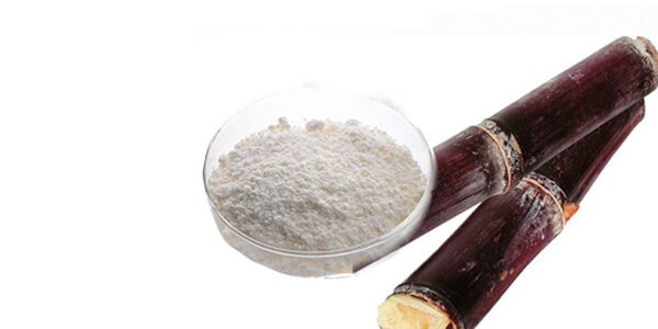 Policosanol manufacturer Policosanol manufacturer